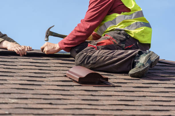 Roof Gutter Cleaning in Brown Station, MD